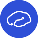 BrainKey logo